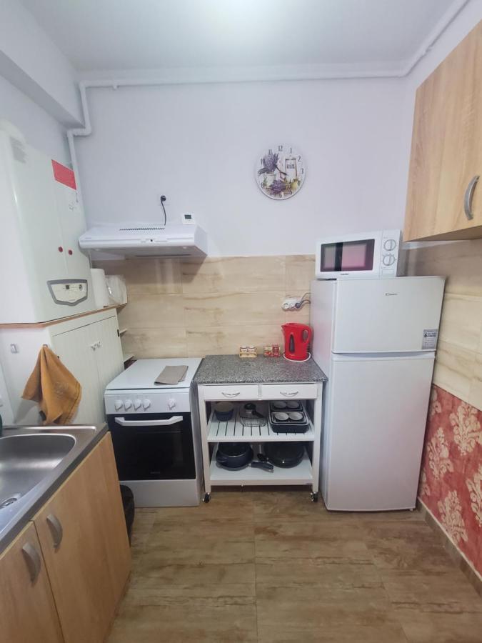 Morii Lake Special Apartment بوخارست المظهر الخارجي الصورة
